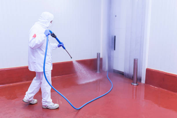 Trusted Margaret, AL  Pressure Washing Services Experts